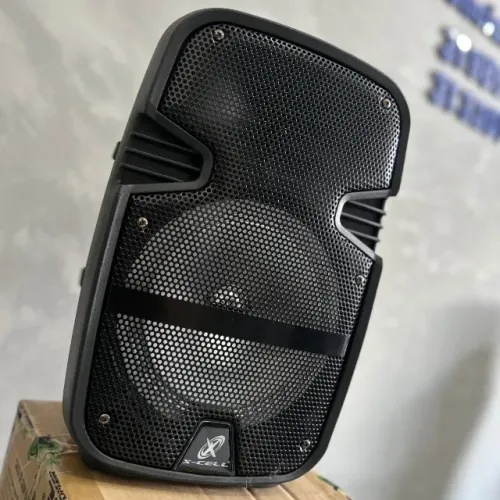 Caixa de Som Bluetooth Amplificada Portátil 100W Rms Com Radio