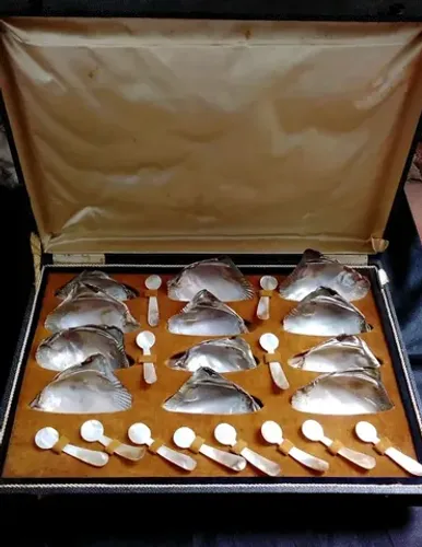 LINDO ESTOJO ANTIGO COM CONJUNTO DE MADREPÉROLA PARA SERVIR CAVIAR