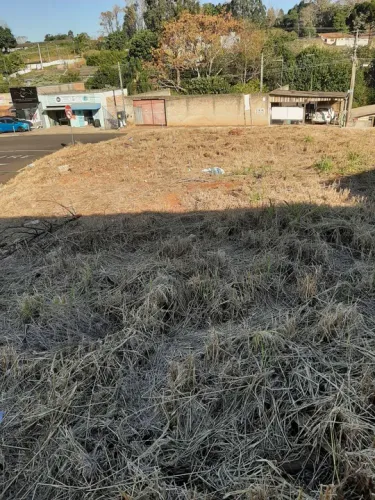 Terreno Vila Estrela - Esquina - 750 m2