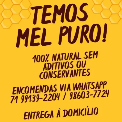 Mel Puro 100% Natural