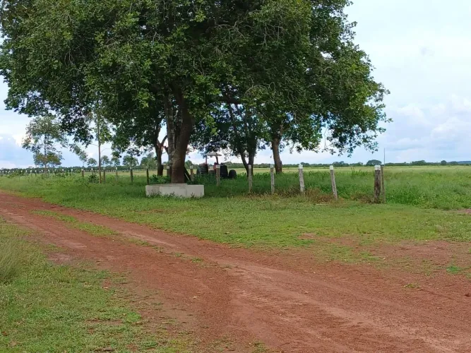 Fazenda 403 Alq já plantou região de lavoura só 100 mil o Alqueires
