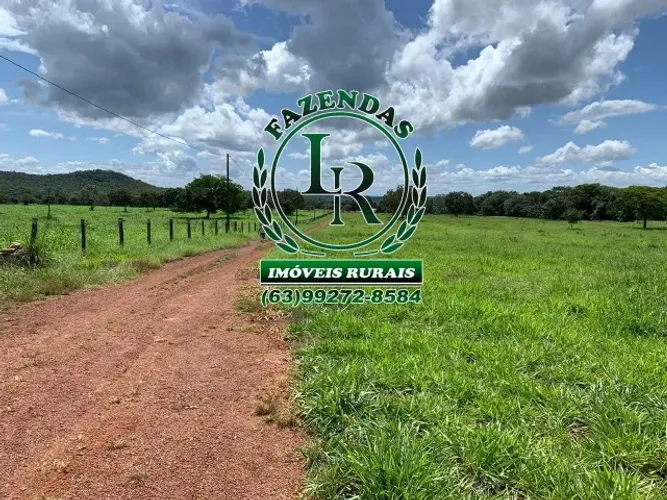 fazenda 53 Alqueires próximo a Palmas - Tocantins