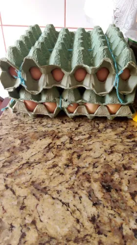 Ovos galados