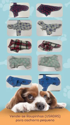Roupas para cachorro
