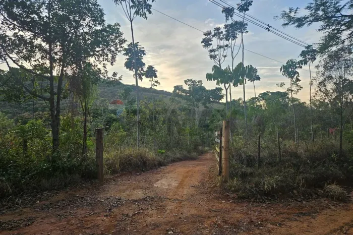 Terreno dos Sonhos com 51,70 Hectares, Nascentes e Pasto Formado em Carmópolis de Minas