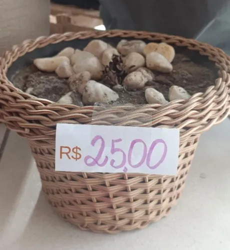 Vaso de planta