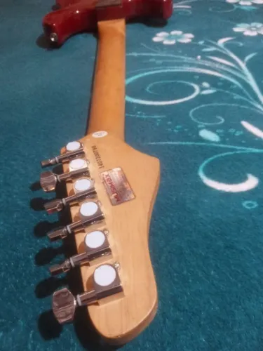 Guitarra sts100