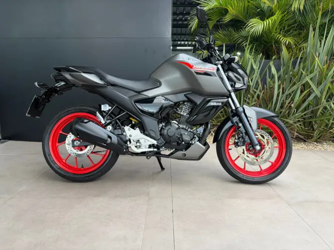 YAMAHA FAZER FZ15 25/25