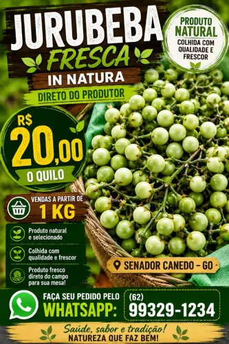 Jurubeba