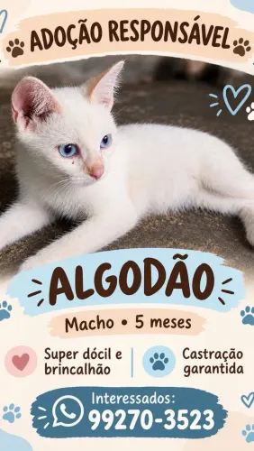 Adoção responsável