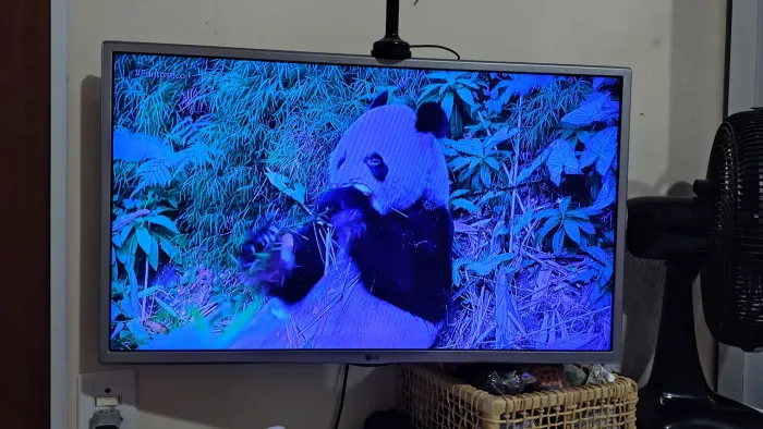 Smart tv LG 32'