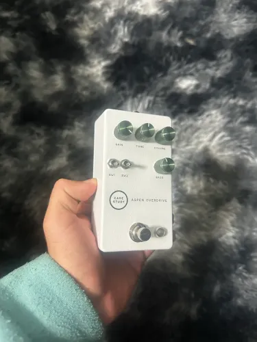 Pedal Aspen overdrive/distortion/fuzz Case Study Ñ kilt