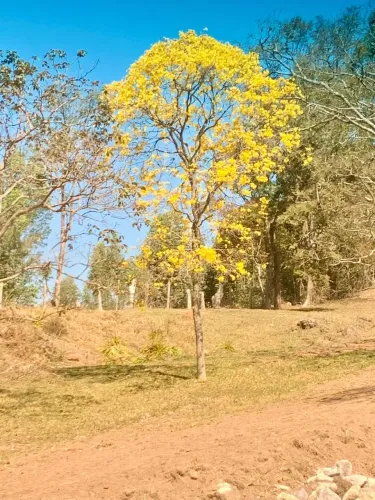 terreno 20 mil m2 em Piracaia SP