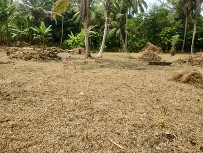 Terreno em Barra do Jacuipe 270 m2