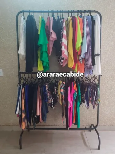 Arara em Anápolis