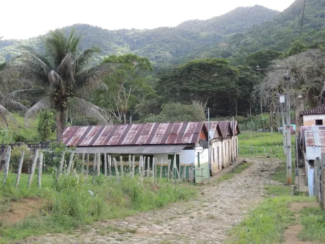Fazenda/Sítio/Chácara para venda com 240 metros quadrados em Centro - Jussari - BA