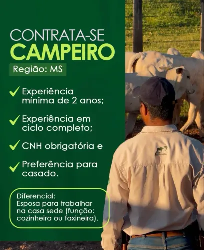 Contrata se capataz pra fazenda