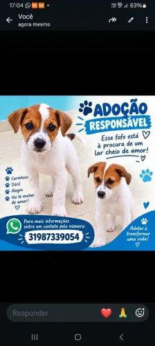 Doação responsável