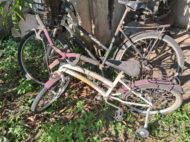 Bicicleta