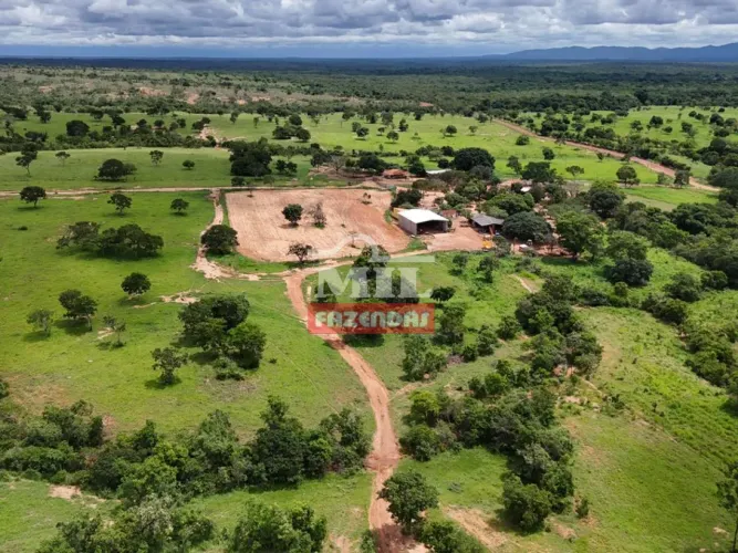 Fazenda 604,95 Alqueires (2.928 hectares) São Jõao D`Aliança - GO
