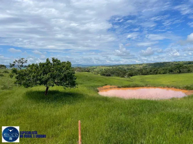 Chácara à Venda em Silvânia/GO  3 Alqueires