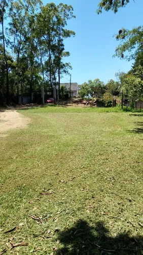 Jardinagem cara e boa clica