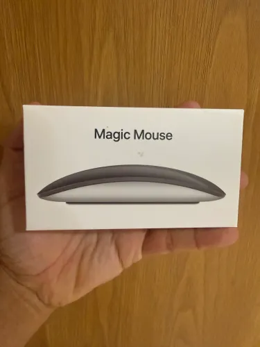 Apple Magic Mouse Usbc (Lacrado)