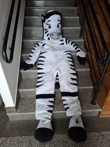 Fantasia zebra
