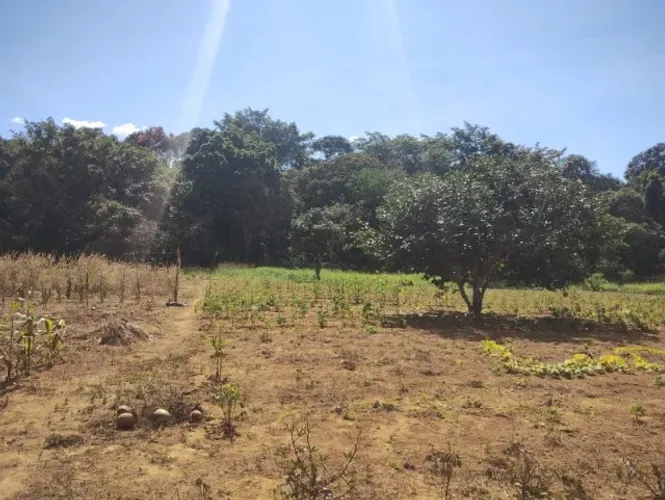 VENDO CHACARA COM COREGO NO FUNDO 10 MIL METROS EM AGUAS LINDAS