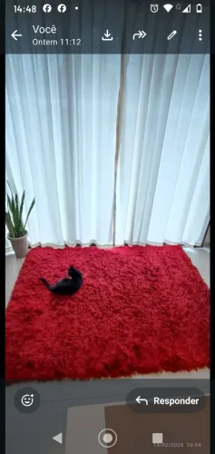 Vendo tapete tabacow 1,5 X 2,00 higienizado. Abri para tirar fotos. Valor 170,00