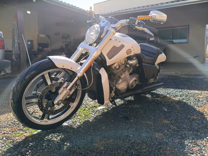 Harley v rod muscle
