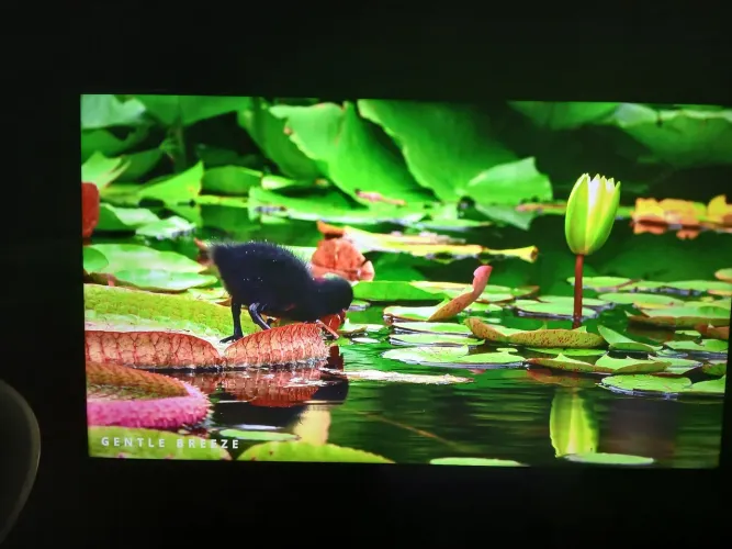  Tv 42 pol wifi borda infinita Novíssima 1199$ Aplicativos Avançados e Rápidos 