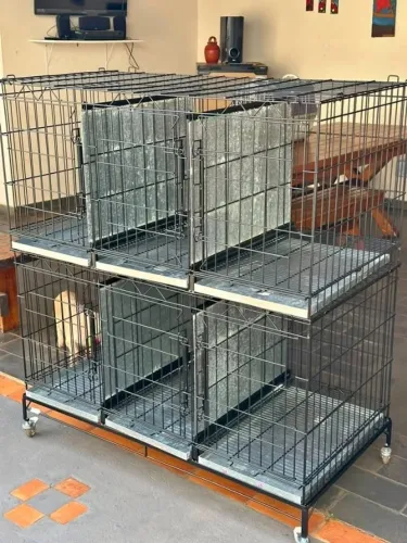 Canil Gaiola Modular 6 Lugares com Rodízios