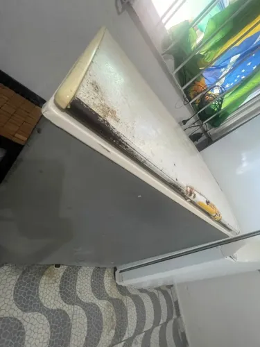 Freezer 1 porta