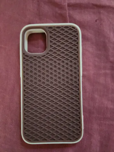 Case vans