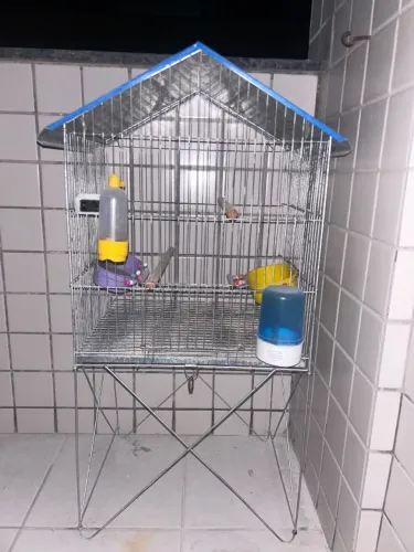 Gaiola para passarinhos