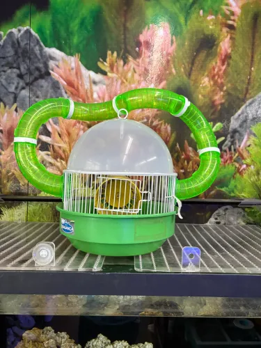 Gaiola Hamster - Nova !