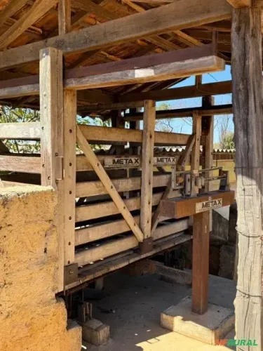 Balança METAX 1.500 kg com tronco de contenção