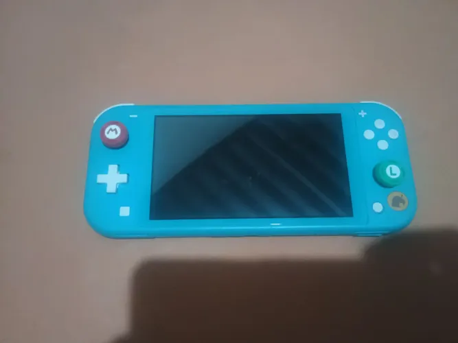 Switch lite