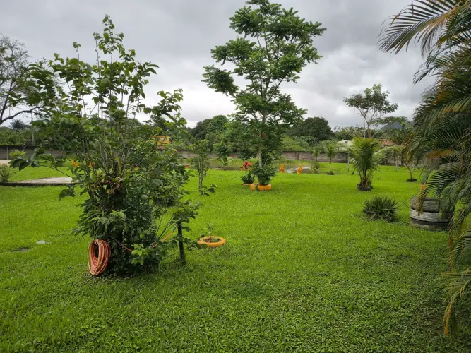 Sitio para locação Anual