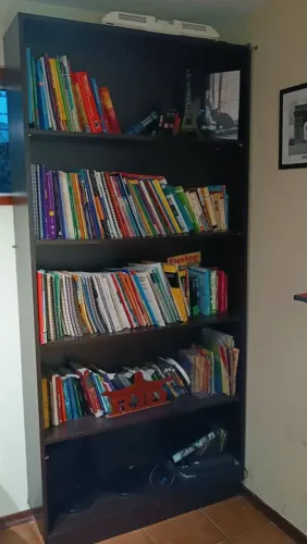 Estante de livros e armarinho