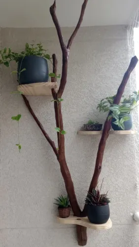 Tronco Decorativo