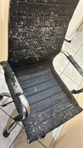 Cadeira de escrivaninha ou escritório 