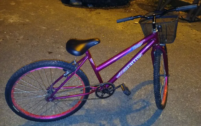 Bike samy feminina aro 26