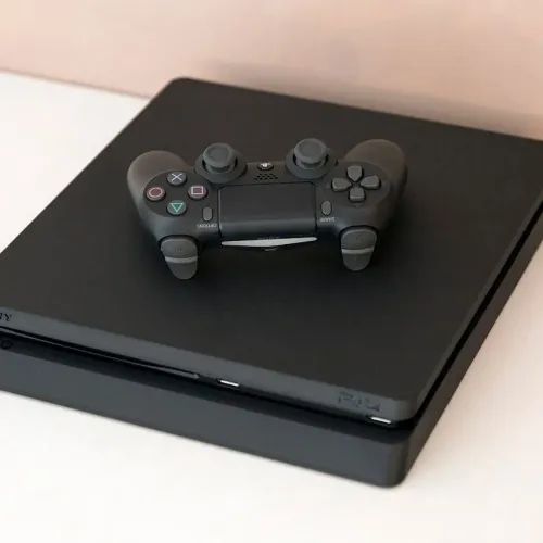 Vídeo Game PS4 Slin 