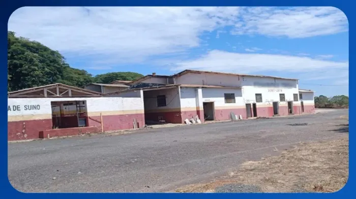 COMPLEXO INDUSTRIAL - Abatedouro de suínos e bovinos, Avenida Perimetral Oeste, 1.650, Dis