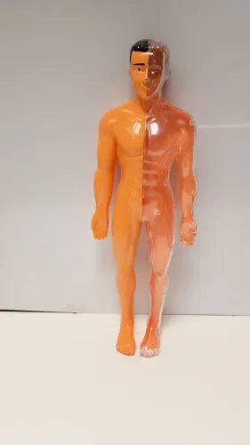 Boneco corpo humano 28 cm