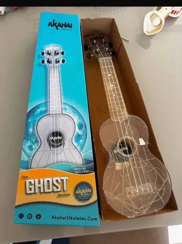 Ukulele 