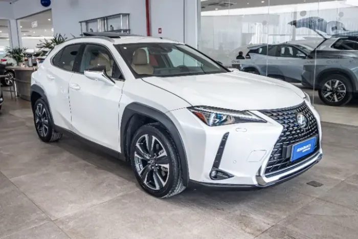 Lexus UX-250H Luxury 2.0 16V Aut.(hybrid) 2024