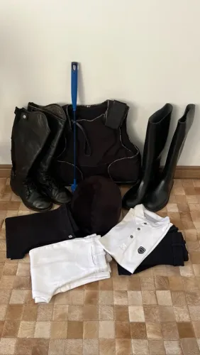 Hipismo